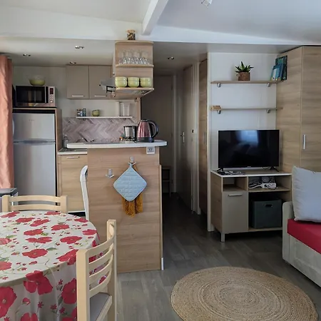 Campsite Mobil Home 6 A 8 Personnes Climatise Saint-Papoul